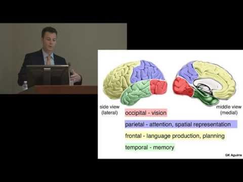 Geoffrey Aguirre - What Will You See in the Courtroom? Vanderbilt Judicial Colloquium, Feb. 2014