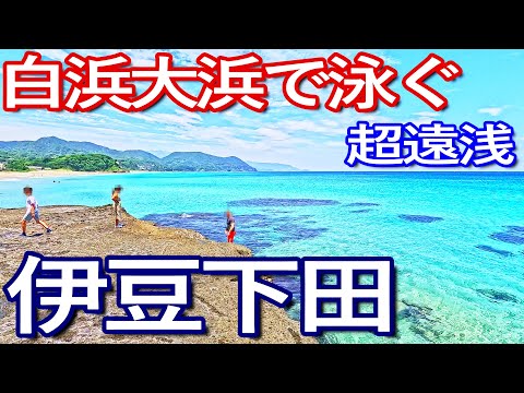 伊豆ゆる旅【６月下旬】下田市人気のビーチ！白浜大浜海水浴場でシュノーケリング満喫