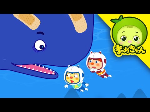 クジラを助けろ | 動物救助隊 | まめきゅん MAMEKYUNN