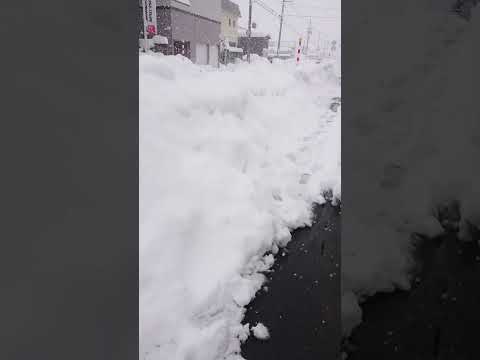 去年の冬が嘘のような豪雪、、これが北国の冬なんだよなぁ、、と痛感 #弘前市