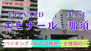 【エピナール那須】バイキング全種類紹介、プール＆温泉をチェックイン前から使える