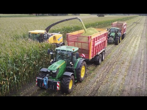 Maisernte 2021 mit 2 New Holland Häckslern und mehreren JohnDeere/Schuitemaker Abfahrgespannen