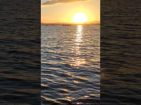 Swimming at sunset in Hammamet, Tunisia #shorts #sunset #swimming #hammamet #tunisia