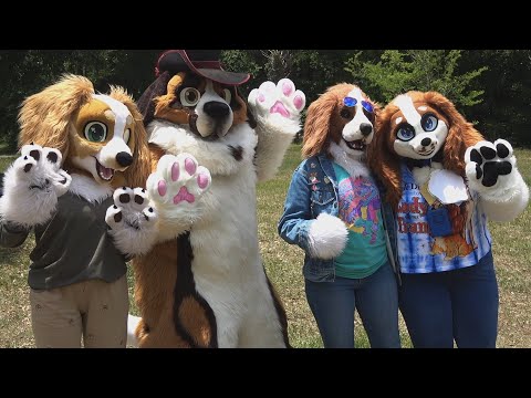 Megaplex Annual Picnic 2024 - Some video