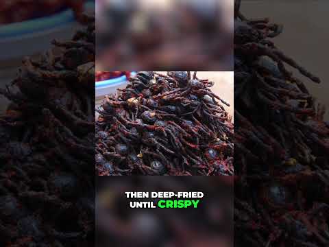 The Surprising Delicacy of Fried Tarantulas in Cambodia