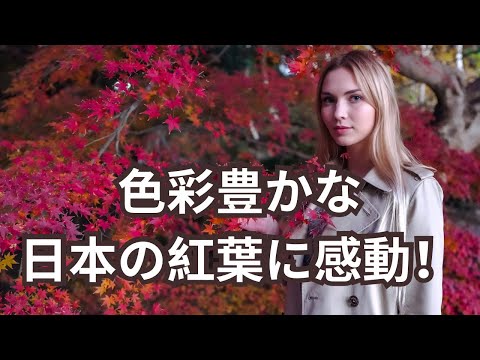 【紅葉狩り】着物で美しい日本庭園を散策してみました