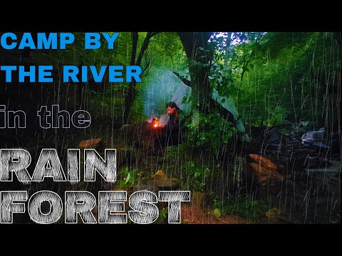 Camp by the river in the rainforest🌧️#camp #bushcraft #jungle #adventure #rain#outdoor #overnight