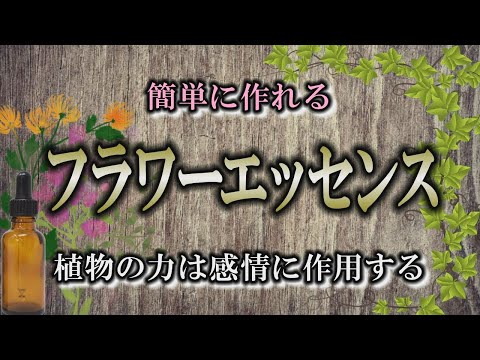 【フラワーエッセンス】簡単にできるエッセンスの作り方｜花の力は魔法の力