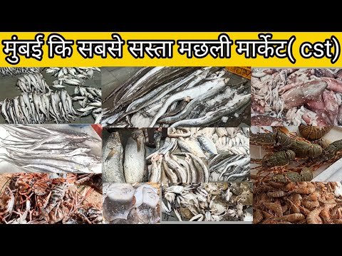 मुंबई  कि सबसे सस्त मच्छली मार्केट cst।। Mumbai fish market ।। Mumbai machhi market।। Mumbai machhi