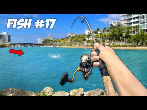 Can I Catch 24 Fish Species in 24 Hours??