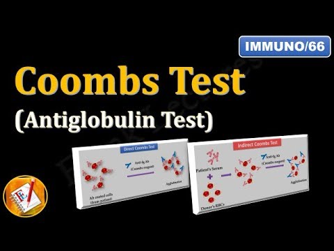 Coombs test (or Antiglobulin Test) (FL-Immuno/66)