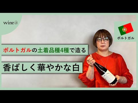 【ポルトガルの土着品種4種で造る香ばしく華やかな白】ニーポート  クロ・ド・クラップ ホワイト　(ポルトガル)