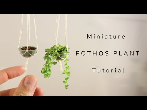 Miniature Pothos Tutorial + Ceramic Pot & Plant Hanger