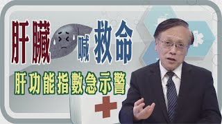 【肝臟喊救命💥  肝功能指數急示警🚑】【大愛醫生館精選】