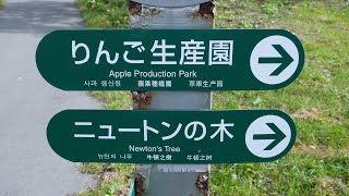 Exploring Hirosaki Apple Park: Orchards, Delights, and Family Fun!