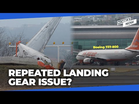 What we know about Boeing 737-800 involved in Jeju Air crash