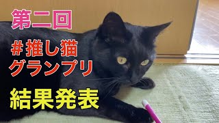 第二回＃推し猫グランプリ結果発表　№252　しえるねこ 猫動画  保護猫 黒猫 漆黒 ＃推し猫グランプリ２０２１