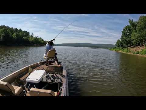 Big Crappie Caught On Livescope