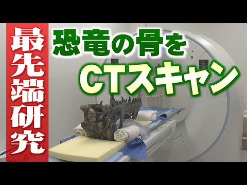 福井の恐竜人気の裏にデジタルを駆使した最新研究　恐竜研究の第一人者「どのように動き暮らしていたかを解明したい」（2024.5.22放送）