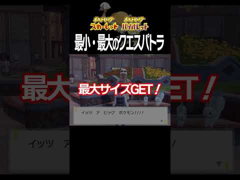 【大きさ比較】クエスパトラ編【ポケモンSV】#Shorts