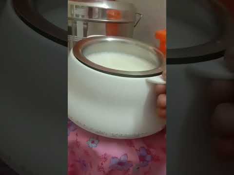 curdmaking #viral #trending #curd #shotsvideo