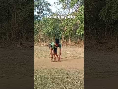 Kalaripayattu #kalarippayattu #fitness #mokshahum #action #yoga