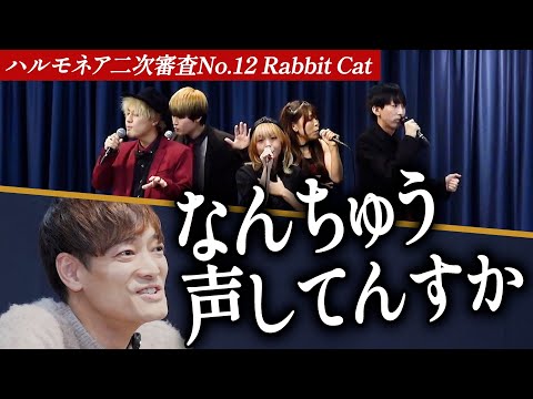 【Rabbit Cat】チャンネル登録者数27万人を誇るアカペラグループ。審査員が真の実力を見抜く。【第1回ハルモネア二次審査 Group No.12】