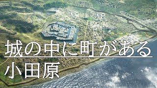 【小田原城】近世・北条氏の城と秀吉の石垣山城が一度に見れる動画　現地解説　日本一の惣構　100名城