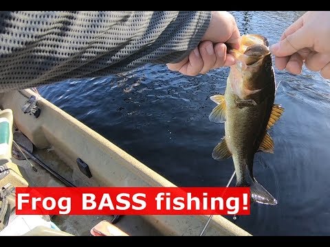 Spring Bass Fishing, Topwater!!