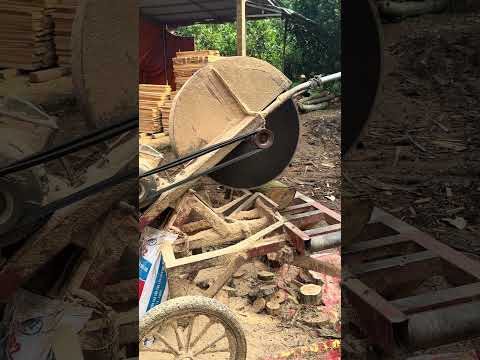 Wood cutting #wood #woodworking #shortvideo #woodcutting #woodcarving #woodindustry