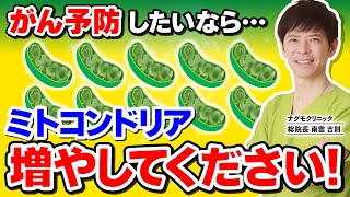 あなたの体内にあるミトコンドリアを活性化させる方法（脂肪燃焼・糖質制限・がんリスク・ナグモクリニック・予防医療）