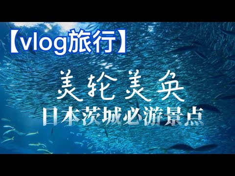 【vlog旅行】美轮美奂，日本茨城县这个必游景点一定不要错过哦！