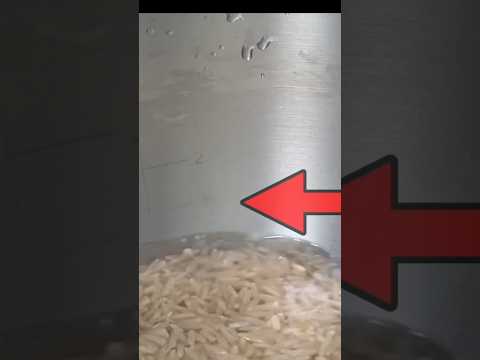 How to cook brown rice perfectly #shorts #youtubeshorts #brownrice