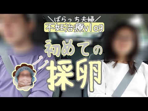 【不妊治療】初めての採卵日当日レポ/痛みは？/全身麻酔は？/まさかの採卵個数/多嚢胞性卵巣症候群/体外受精か顕微授精か/採卵直後の体調は？/保険適用で掛かった費用/スケジュール表載せます/1人目妊活中