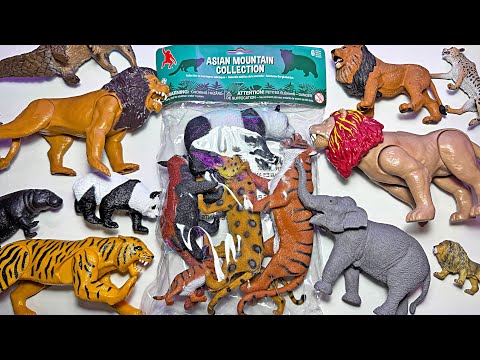 Mountain Animals & Wild Animals - Tiger, Lion, Panda, Leopard, Pangolin, Cheetah, Black Panther