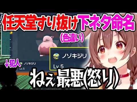 【色違い】ゆびをふる大会に向け、約4時間かけて入手した色違い2匹目のスリープに変な名前をつけプレゼントするおかゆ【ホロライブ/戌神ころね/猫又おかゆ/切り抜き】