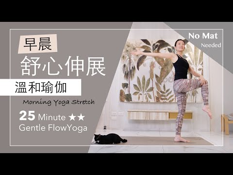 早晨|舒心伸展【溫和瑜伽】25分鐘 Gentle Flow Yoga ★ ★ #stretches #morningyoga #瑜伽