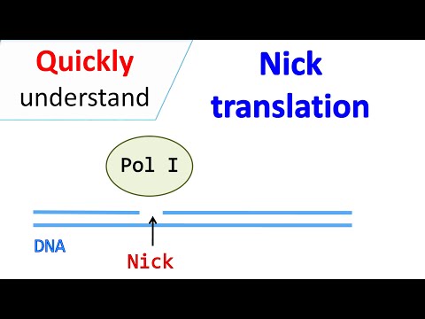 Nick translation