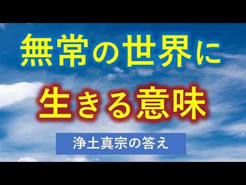 ●無常の世界に生きる意味とは【浄土真宗の回答】