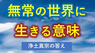 ●無常の世界に生きる意味とは【浄土真宗の回答】