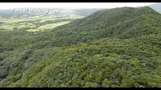 tokunoshima Forest Walking Tour in World Natural Heritage