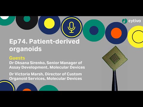 Discovery Matters | Ep74. Patient-derived organoids (part 1)