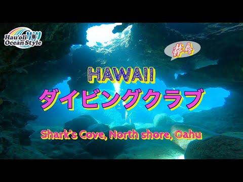 #4【ハワイダイビングクラブ】夏限定ポイント！シャークスコーブで洞窟ダイビング！Scuba Diving at Sharks Cove, North Shore Oahu