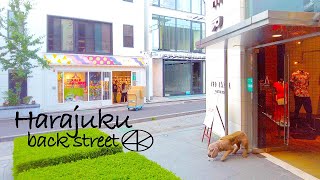 【東京散歩】裏原宿 表参道の裏通り 神宮前4丁目周辺を散策 4K Harajuku alley Jingumae 4-chome walk