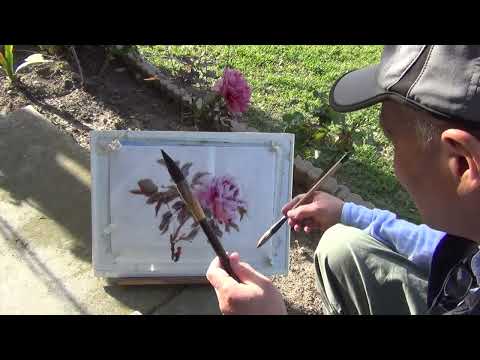 I did a Plein Air Painting of a Peony Flower in our Front Yard in Setting Sunshine