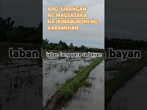 BRGY SALVACION, SANTO TOMAS, DAVAO DEL NORTE #viralvideo 🇵🇭🇵🇭 #godblessusalways #farmers❤️❤️🙏