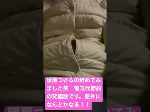 暖房つけるの辞めて、電気代節約！！　服着まくれば何とかなるよ笑