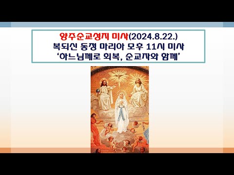 양주순교성지 미사(복되신 동정 마리아 모후 기념 11시 미사 2024.8.22.'하느님께 회복, 순교자와 함께')