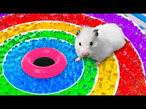 🌈 DIY Hamster maze with Rainbow Orbeez balls 🐹