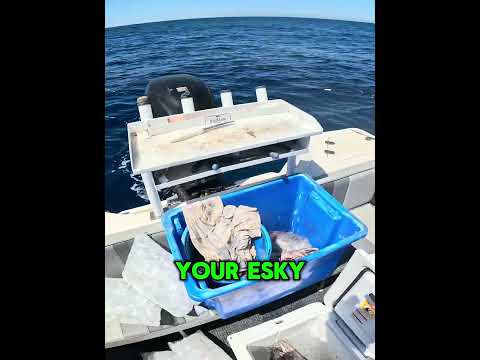 Esky (cooler) Tips to Keep Your Catch #fishing #fish #yeti #esky #cooler #fishingaustralia #dhufish